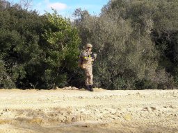 2019-02-09  COMANDOS